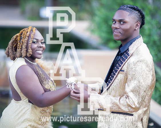 2024_Prom_Shaddiah-2