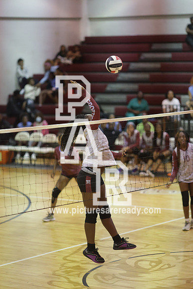 2024_Vball_ProvinevsLanier-129