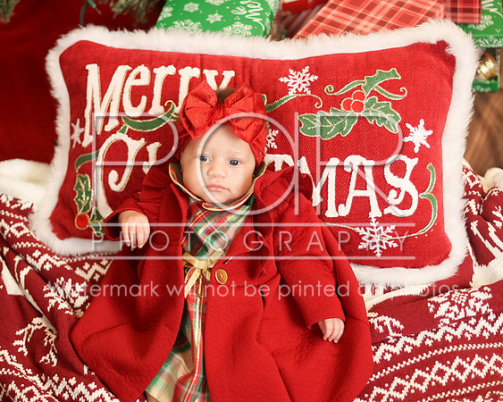 2024_Christmas_Tyniala-24