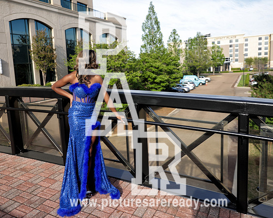 2024_Prom_Kaitlyn-17