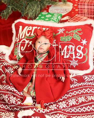 2024_Christmas_Tyniala-23