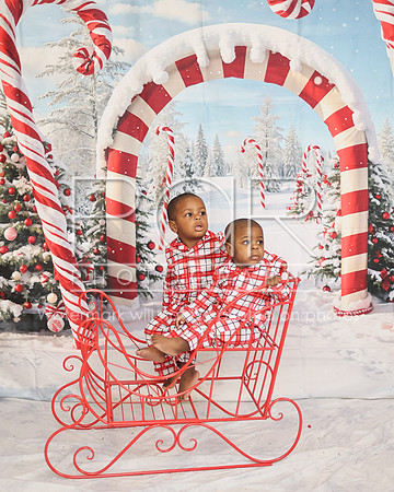 2024_Christmas_Tierra-12