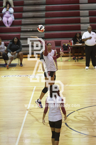 2024_Vball_ProvinevsLanier-93