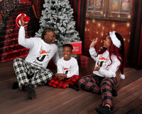2025 Christmas Bridgette Alexander-11