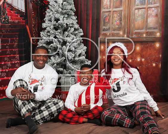 2025 Christmas Bridgette Alexander-12