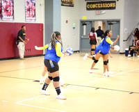 2025_Vball_CarvervsByram-2