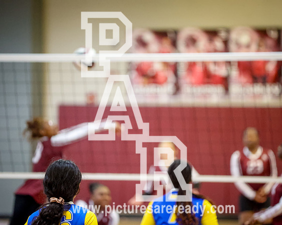 2025_Vball_CarvervsByram-73