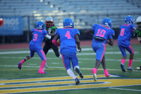 2025_Fball_NicholsvsBlackburn_Championship-19