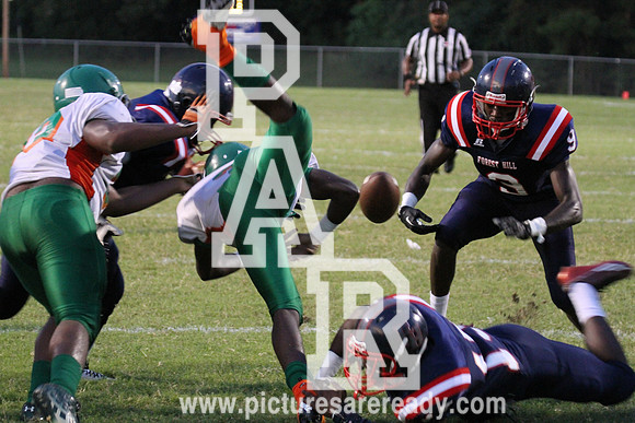 2014_foot_Wilkinson County vs Forest Hill-111