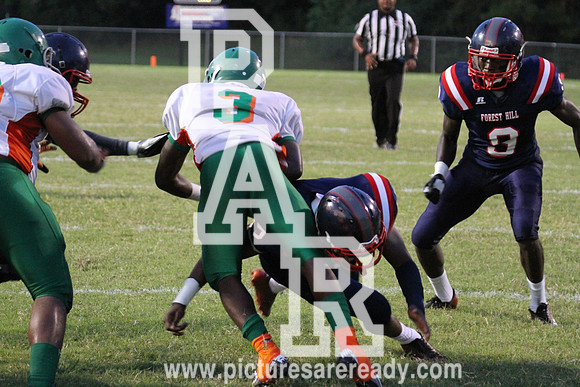 2014_foot_Wilkinson County vs Forest Hill-110