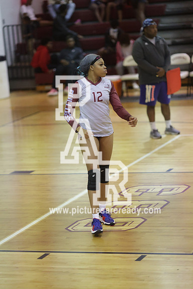 2024_Vball_ProvinevsLanier-114