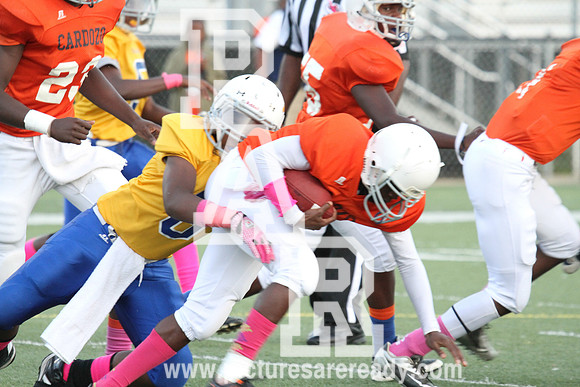 2013_FB_CardozovsPowell_Championship-24