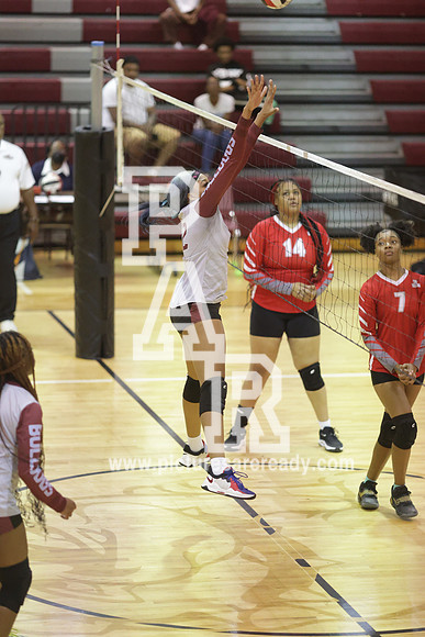 2024_Vball_ProvinevsLanier-42