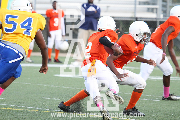 2013_FB_CardozovsPowell_Championship-46