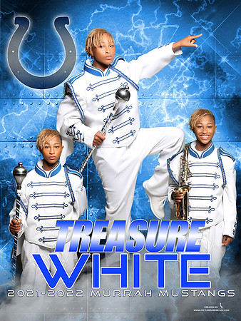 Banner_3x4_Treasure White