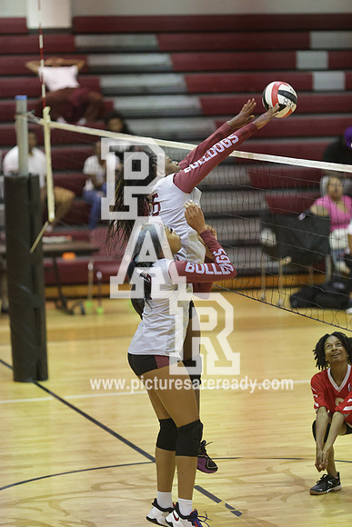 2024_Vball_ProvinevsLanier-105