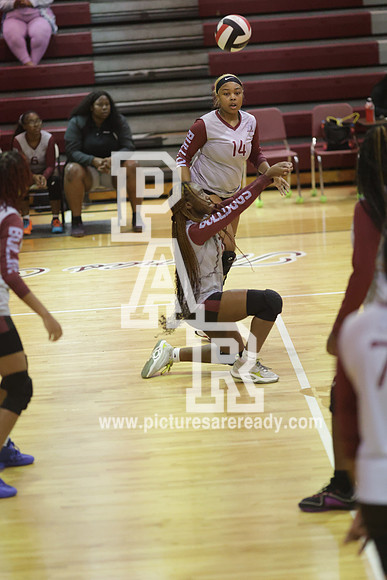 2024_Vball_ProvinevsLanier-116