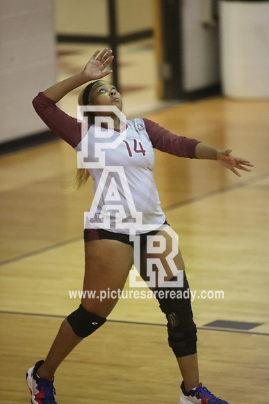 2024_Vball_ProvinevsLanier-12