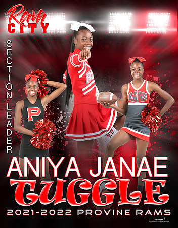 Banner_Aniya Tuggle