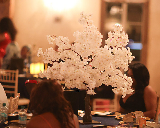 2025_Prom_Ridgeland-29