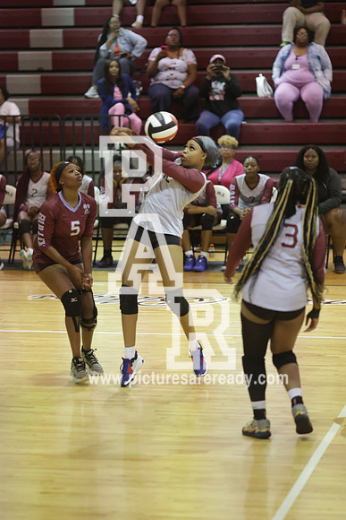 2024_Vball_ProvinevsLanier-83