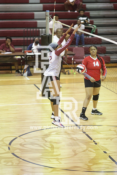 2024_Vball_ProvinevsLanier-46