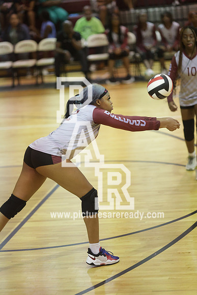 2024_Vball_ProvinevsLanier-115