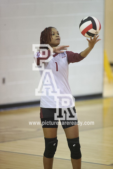 2024_Vball_ProvinevsLanier-35