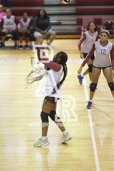 2024_Vball_ProvinevsLanier-44