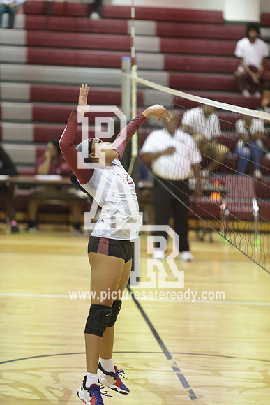 2024_Vball_ProvinevsLanier-75