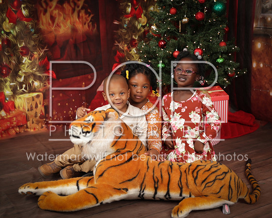2023_Christmas_Shanita Jones-20