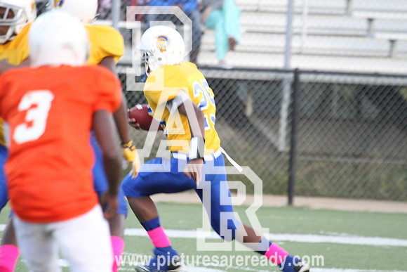 2013_FB_CardozovsPowell_Championship-53
