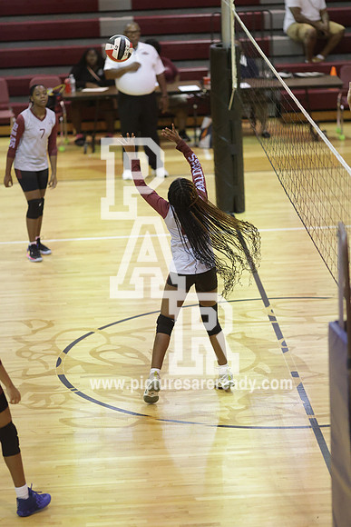 2024_Vball_ProvinevsLanier-90