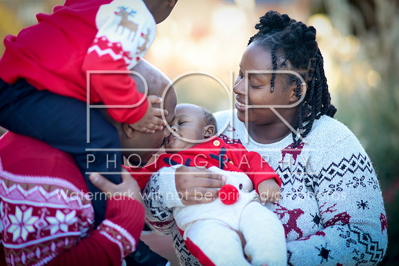 2024_Christmas_Shanita-48