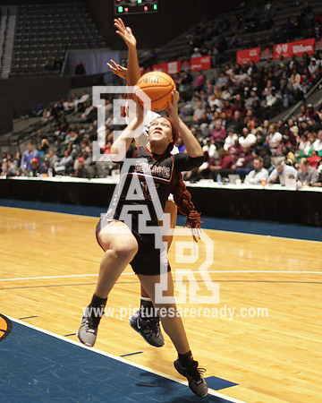 2024_Girls_Bball_TerryvsSouthPanola-10