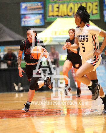 2024_Girls_Bball_TerryvsSouthPanola-32