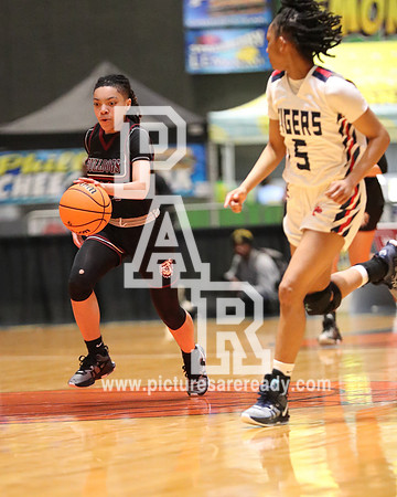2024_Girls_Bball_TerryvsSouthPanola-33