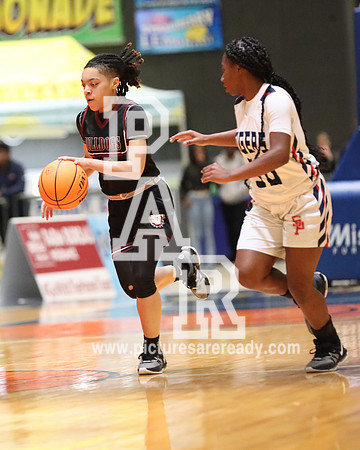 2024_Girls_Bball_TerryvsSouthPanola-47