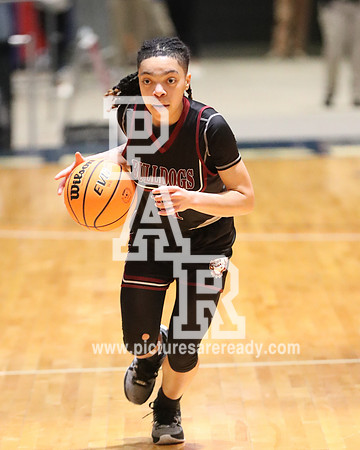 2024_Girls_Bball_TerryvsSouthPanola-55