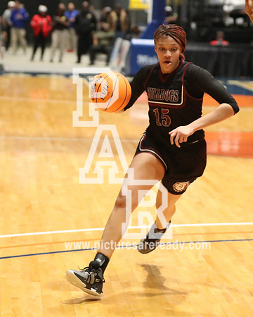 2024_Girls_Bball_TerryvsSouthPanola-105