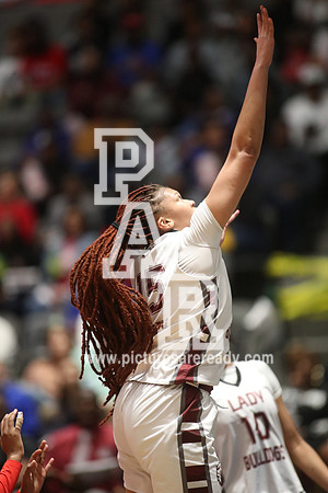 2024_Girls_Bball_NeshobaCentralvsTerry-13