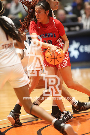 2024_Girls_Bball_NeshobaCentralvsTerry-19