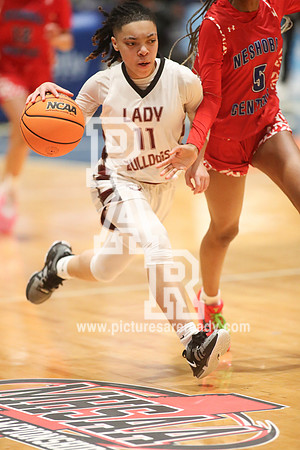 2024_Girls_Bball_NeshobaCentralvsTerry-30