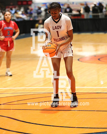 2024_Girls_Bball_NeshobaCentralvsTerry-73