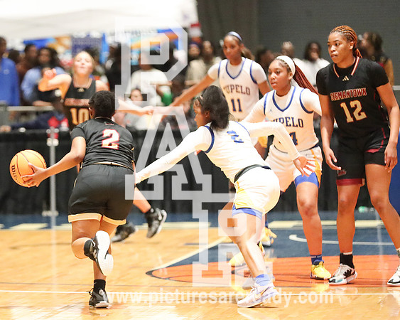 2024_Girls_Bball_TupelovsGermantown-63