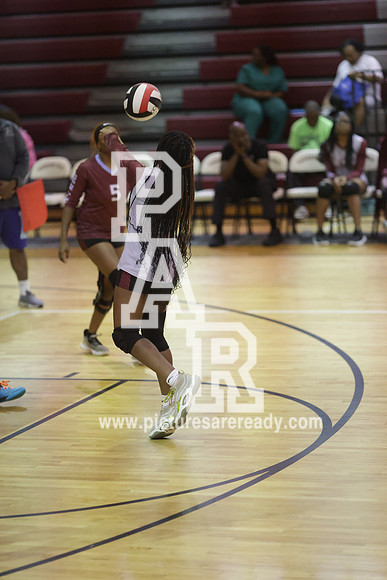 2024_Vball_ProvinevsLanier-80