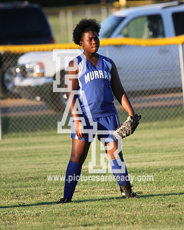 2013_SB_BrookhavenvsMurrah-18