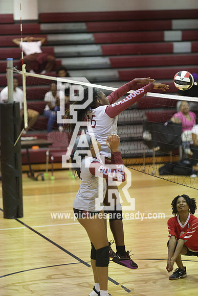 2024_Vball_ProvinevsLanier-106
