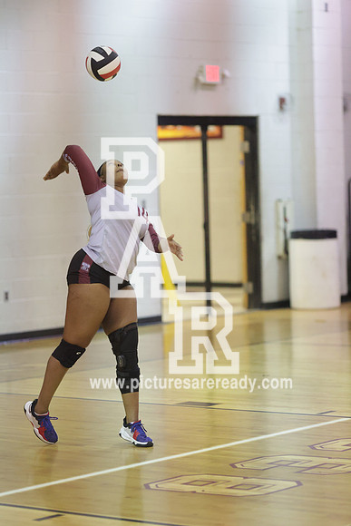 2024_Vball_ProvinevsLanier-74
