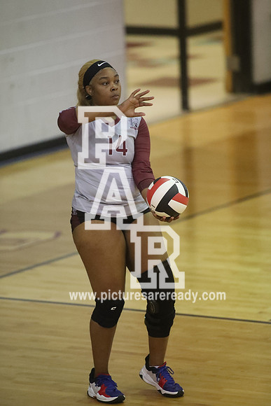 2024_Vball_ProvinevsLanier-11